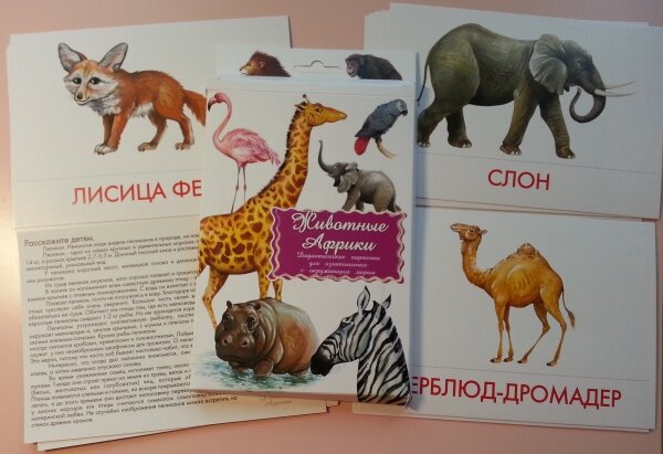 Дидактические карточки "Африканские животные"