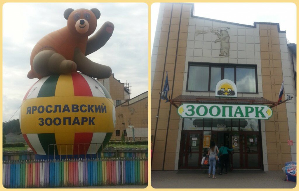 yaroslavskiy_zoopark_collage