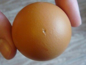 Основа для поделки пасхальное яйцо
