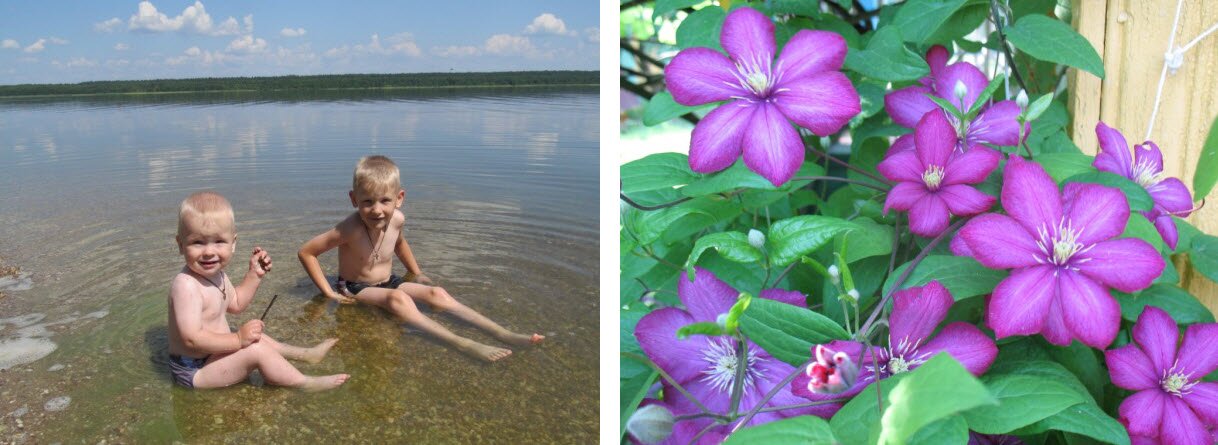 Озеро Свирь и цветы