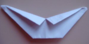 Оригами птица ворон - шаг 9