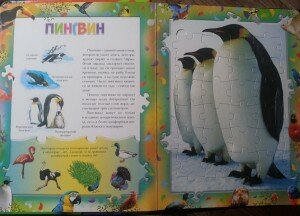 книга птицы пингвин