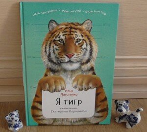 amurskiy_tigr_1