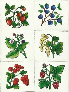 Картинки ягоды