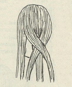 Схема плетения косы из 4 прядей