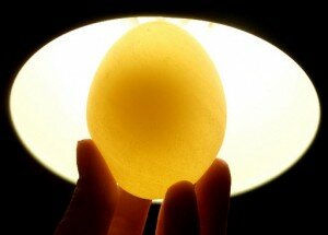 светящееся яйцо