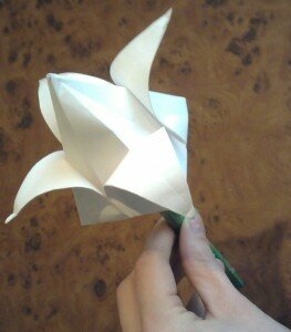 Белый тюльпан оригами