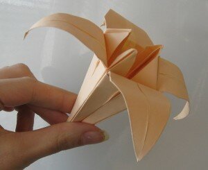 Оригами цветы лилия: шаг 28