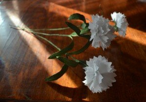 Цветы из гофррованной бумаги - шаг