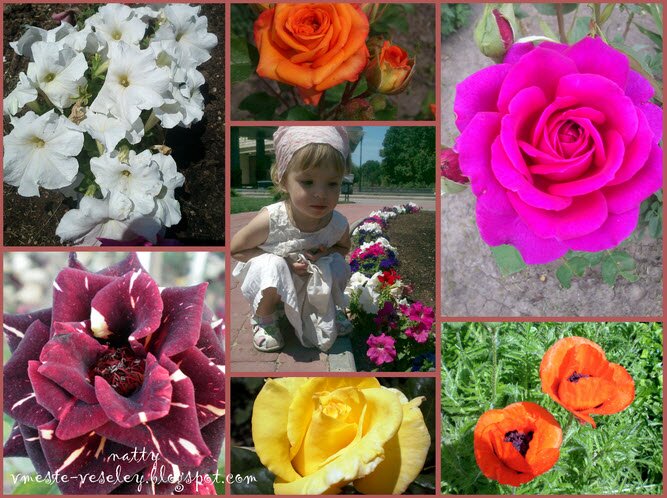 Находилки Дмитренко Натальи для 4 тура цветы