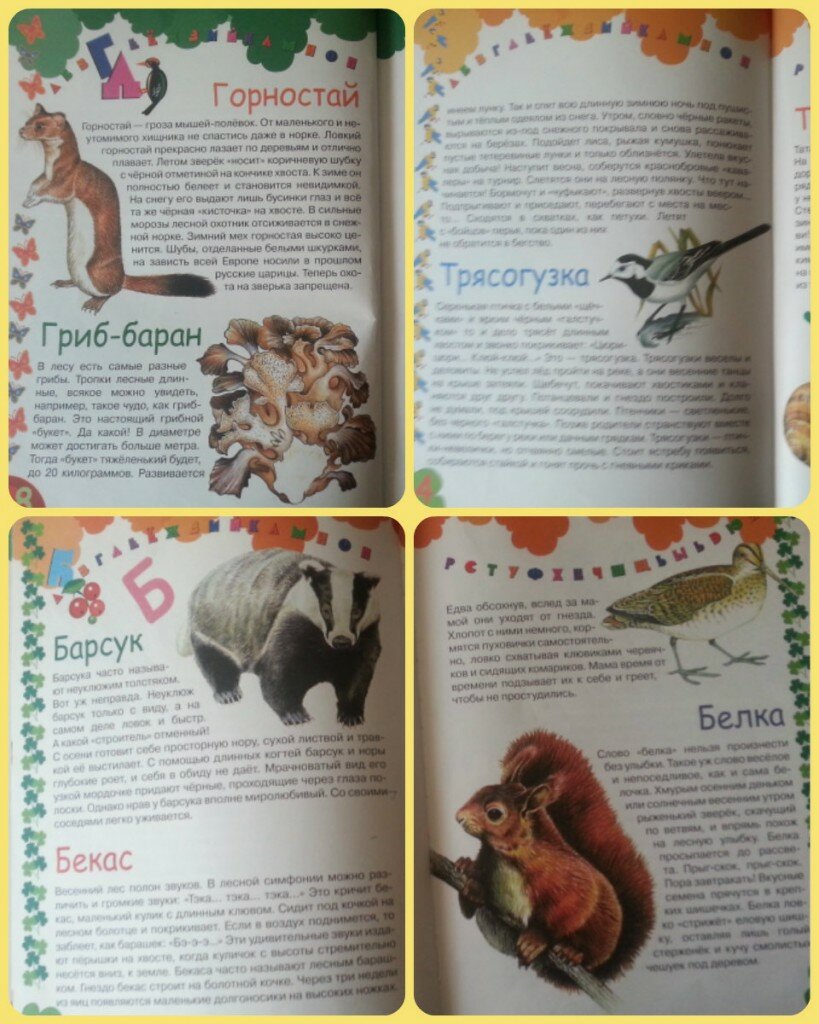 Детская энциклопедия леса