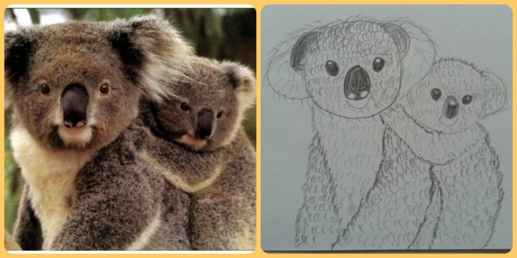 Учимся рисовать коалу - коллаж